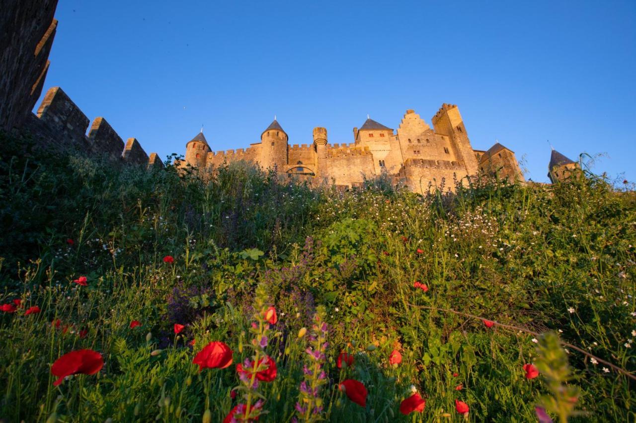 Tout Confort ! Calme, Climatisation, Parking Gratuit, Grande Terrasse, Ascenseur, Wifi Carcassonne Ngoại thất bức ảnh
