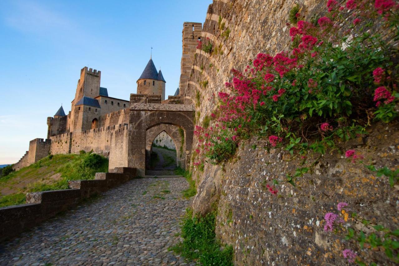 Tout Confort ! Calme, Climatisation, Parking Gratuit, Grande Terrasse, Ascenseur, Wifi Carcassonne Ngoại thất bức ảnh
