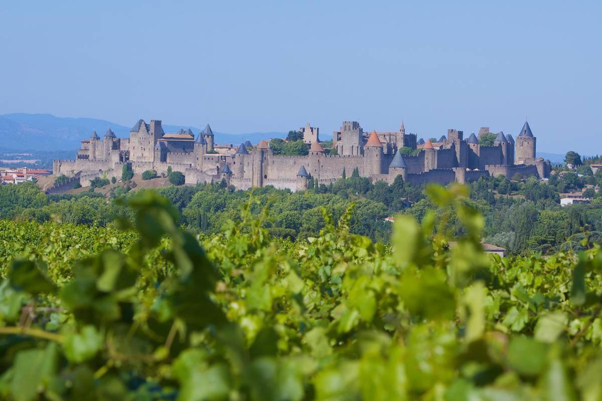 Tout Confort ! Calme, Climatisation, Parking Gratuit, Grande Terrasse, Ascenseur, Wifi Carcassonne Ngoại thất bức ảnh