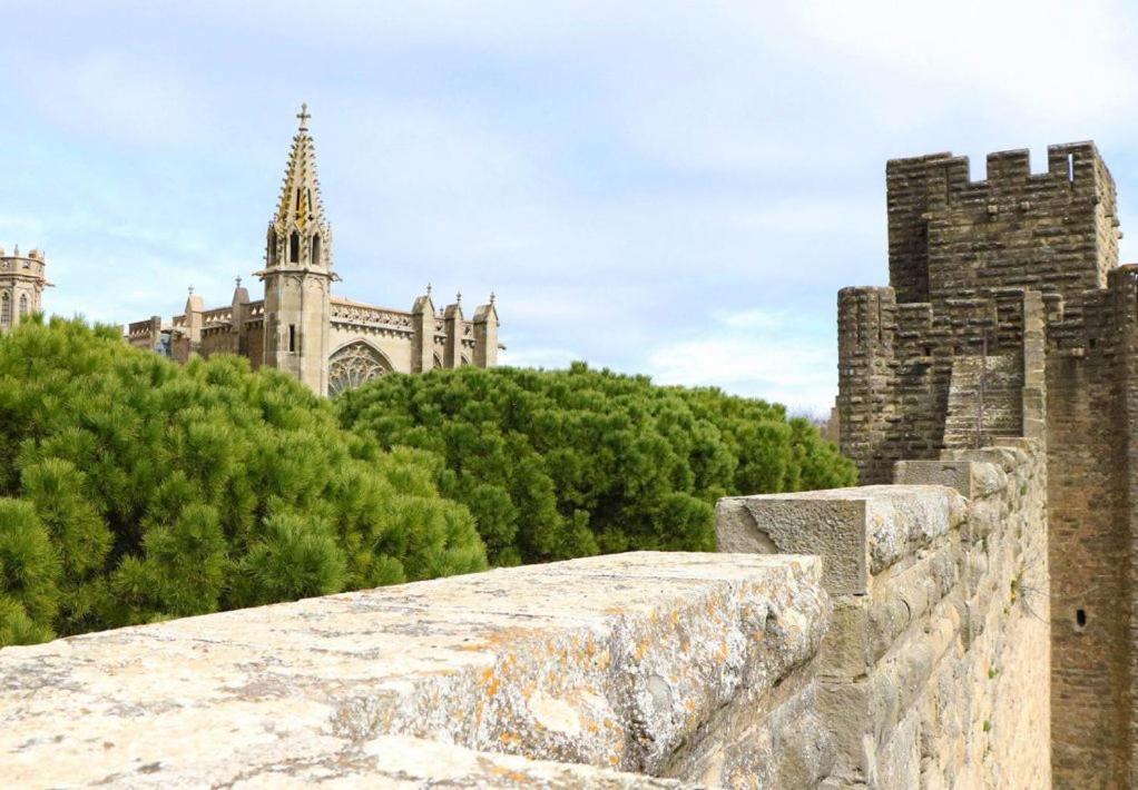 Tout Confort ! Calme, Climatisation, Parking Gratuit, Grande Terrasse, Ascenseur, Wifi Carcassonne Ngoại thất bức ảnh